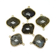 Natural Labradorite Links connectors, with Golden Tone Brass Findings, Faceted, 26x21.5x5.5mm, Hole: 1.5~1.6mm(G-L514-018F)