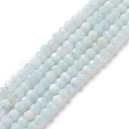 Natural Amazonite Bead Strands, Faceted Round, 2mm, Hole: 0.8mm, about 190pcs/strand, 16 inch(G-A129-2mm-20)