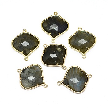 Natural Labradorite Links connectors, with Golden Tone Brass Findings, Faceted, 26x21.5x5.5mm, Hole: 1.5~1.6mm