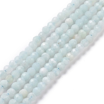 Natural Amazonite Bead Strands, Faceted Round, 2mm, Hole: 0.8mm, about 190pcs/strand, 16 inch