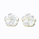 Natural White Shell Mother of Pearl Shell Beads(SSHEL-T014-42B)-4