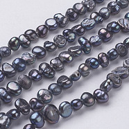 Natural Cultured Freshwater Pearl Beads Strands, Baroque Keshi Pearl Beads, Dyed, Two Sides Polished, Black, 5~7x4~5x3~4mm, Hole: 0.3mm, about 76~80pcs/strand, 14 inch(PEAR-P002-53A)
