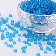 (Repacking Service Available) Glass Seed Beads, Frosted Colors, Round, Sky Blue, 8/0, 3mm, about 12g/bag(SEED-C017-3mm-M3)