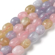 Natural Malaysia Jade Beads Strands, Faceted, Oval, Dyed and Heated, Colorful, 10.5~13x8.5~10x7~10mm, Hole: 1.2mm, about 31~32pcs/strand, 14.57''~15.16''(37~38.5cm)(G-I283-H12-02)