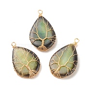 Natural Crackle Agate Pendants, Dyed, with Golden Tone Eco-Friendly Copper Wire Wrapped, Teardrop with Tree, Green, 49~52x31~32x9~11mm, Hole: 3.2~3.8mm(PALLOY-JF01527-03)