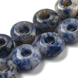 Natural Blue Spot Jasper Beads Strands, Rondelle, 10~10.5x4~4.5mm, Hole: 1.2mm, about 20pcs/strand, 7.95''(20.2cm)(G-P536-A11-01)