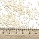 トーホー11/0ラウンドビーズ(X-SEED-TR11-0123L)-3