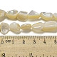 Natural White Shell Beads Strands(SSHEL-H072-15)-4