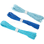 3 Bundles 3 Colors  Twisted Paper Cord, For Paper Craft, Mixed Color, 3mm, about 32.81 Yards(30m)/Set(DIY-CP0012-06C)