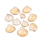 Electroplate Natural Sea Shell Pendants, Shell Shape Charms, with Iron Loops and Brass Findings, Light Yellow, Light Gold, 26~41x26~42x9~14mm, Hole: 1.6~1.8mm(SSHEL-Q100-16KCG)