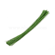 Paper Twist Ties, with Iron Core, Multifunctional Twist Plant Ties, for Plants Garden Office and Home, Lime Green, 360x0.6mm(AJEW-WH0021-18C-03)