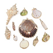 Natural Mixed Shell Pendants, Shell Shape Charms, 20~68x7.6~56.5x5~30mm, Hole: 3.5mm(SHEL-K009-01)