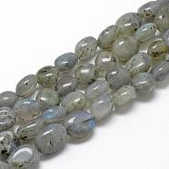Natural Labradorite Beads Strands, Oval, 8~15x7~12x4~12mm, Hole: 1mm, about 30~45pcs/strand, 15.7 inch(G-R445-8x10-20)