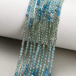 Gradient Color Natural Apatite Beads Strands, Faceted, Round, 2mm, Hole: 0.5mm, about 173pcs/strand, 15.35''(39cm)(GG-CBA1668-A04-2mm)