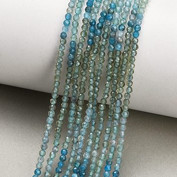 Gradient Color Natural Apatite Beads Strands, Faceted, Round, 2mm, Hole: 0.5mm, about 173pcs/strand, 15.35''(39cm)