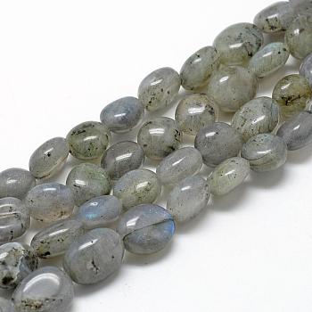 Natural Labradorite Beads Strands, Oval, 8~15x7~12x4~12mm, Hole: 1mm, about 30~45pcs/strand, 15.7 inch