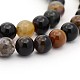 Natural Petrified Wood Round Bead Strands(G-P070-69-4mm)-1