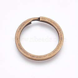 Alloy Split Key Rings, Keychain Clasp Findings, Antique Bronze, 25x2mm, Inner Diameter: 20mm(PALLOY-TAC0001-01B-AB)