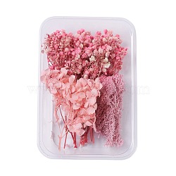 Dried Flowers, DIY Candle Soap Making Accessories, with Plastic Rectangle Box, Pink, 7.3~14x2.1~8.2cm(X-DIY-D052-05)