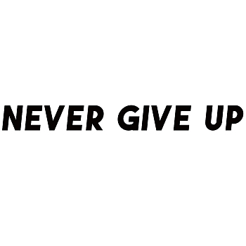 PVC Quotes Wall Sticker, for Stairway Home Decoration, Word NEVER GIVE UP, Black, 8x75cm