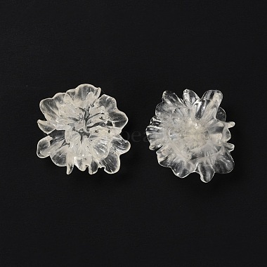 Transparent Resin Cabochons(RESI-G027-01A)-4