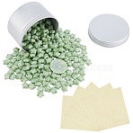 DIY Stamp Making Kits, Including Aluminium Tin Cans, Sealing Wax Particles  and Gift Tag Labels Self-Adhesive Present Stickers, Green, 8.4x5cm, 1pc(DIY-CP0004-43C)