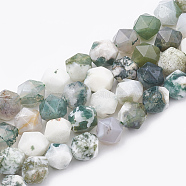 Natural Tree Agate Beads Strands, Star Cut Round Beads, Faceted, 10x9~10mm, Hole: 1mm, about 36~38pcs/strand, 14.2~14.6 inch(G-S332-10mm-010)