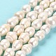 Natural Cultured Freshwater Pearl Beads Strands(PEAR-E016-109)-2