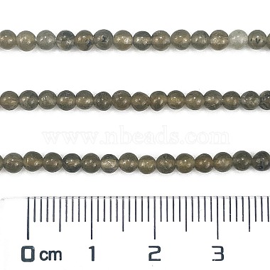 Natural Labradorite Beads Strands(G-M438-A01-01)-4