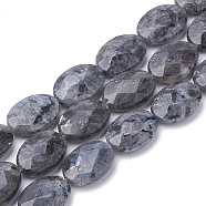 Natural Labradorite Beads Strands, Faceted, Oval, 18~18.5x13~13.5x5mm, Hole: 1mm, about 22pcs/strand, 15.7 inch(G-S292-40)