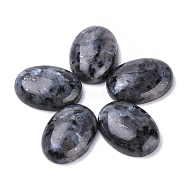 Natural Larvikite Cabochons, Oval, Dyed, 25x18x7~8mm(G-T062-19)