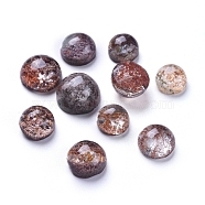 Natural Lodolite Quartz/Garden Quartz Cabochons, Half Round/Dome, 10~14.5x6~9mm(G-F666-07C)