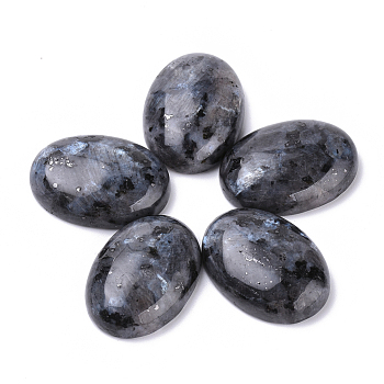 Natural Larvikite Cabochons, Oval, Dyed, 25x18x7~8mm