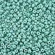 6/0 Glass Seed Beads(SEED-T005-14-B25)-3