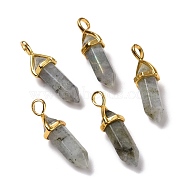Natural Labradorite Pendants, Faceted, with Golden Tone Brass Findings, Lead free & Cadmium Free, Bullet, 27~30x9~10x7~8mm, Hole: 4x3mm(G-K329-61G)