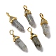 Natural Labradorite Pointed Pendants(G-K329-61G)-1