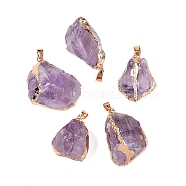 Raw Rough Natural Amethyst Pendants, Nuggets Charms with Brass Edge & Iron Findings, Golden, 30~40.5x22~34x14~19.5mm, Hole: 4x7.5mm(G-T138-174B)