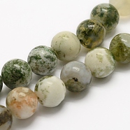 Natural Tree Agate Beads Strands, Round, 6mm, Hole: 1mm, about 62pcs/strand, 15.3 inch(39cm)(G-G735-02-6mm)