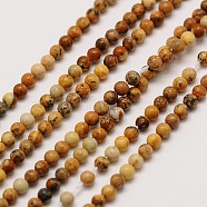 Natural Picture Jasper Round Bead Strands, 2mm, Hole: 0.8mm, about 184pcs/strand, 16 inch(G-A130-2mm-19)
