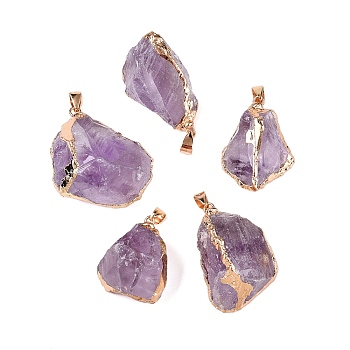 Raw Rough Natural Amethyst Pendants, Nuggets Charms with Brass Edge & Iron Findings, Golden, 30~40.5x22~34x14~19.5mm, Hole: 4x7.5mm