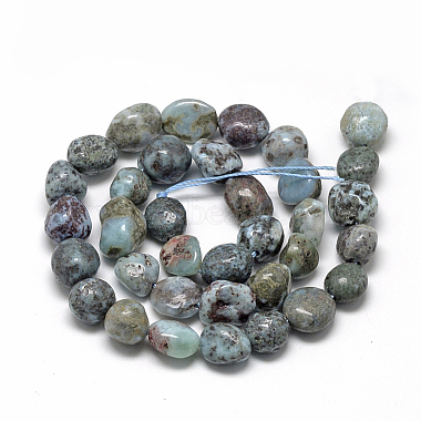 Natural Larimar Beads Strands(G-R445-8x10-14)-2