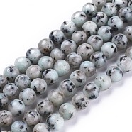 Natural Sesame Jasper/Kiwi Jasper Beads Strands, Round, 8.5mm, Hole: 1.2mm, about 47pcs/Strand, 15.35 inch(39cm)(G-K410-05-8mm)