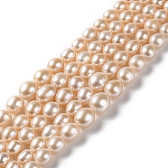 Natural Cultured Freshwater Pearl Beads Strands, Gradient Rice, Grade 6A+, PeachPuff, 5~10x4~9mm, Hole: 0.5mm, about 59~61pcs/strand, 15.83~16.14 inch(40.2~41cm)(PEAR-E018-83)