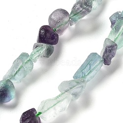 Raw Rough Natural Fluorite Beads Strands, Nuggets, 6.5~9x5~6x3~5mm, Hole: 0.8mm, about 26~30pcs/strand, 7.48''~8.46''(19~21.5cm)(G-P528-B03-01)
