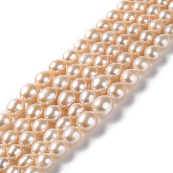 Natural Cultured Freshwater Pearl Beads Strands, Gradient Rice, Grade 6A+, PeachPuff, 5~10x4~9mm, Hole: 0.5mm, about 59~61pcs/strand, 15.83~16.14 inch(40.2~41cm)