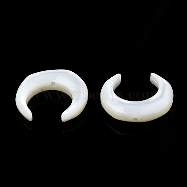 Natural White Shell Beads(SSHEL-N034-122B-03)-4