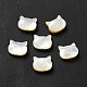 Natural White Shell Beads(SHEL-G014-10A-01)-1