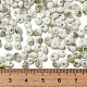 Baking Paint Glass Seed Beads(SEED-F006-01A-05)-4