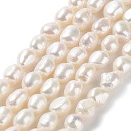 Natural Cultured Freshwater Pearl Beads Strands, Two Side Polished, Grade 5A, Seashell Color, 8~10x8~9x6.5~7.5mm, Hole: 0.5mm, about 37~38pcs/strand, 13.39''(34~35cm)(PEAR-Z002-20)