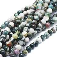 Natural Tree Agate Beads Strands, Round, 6mm, Hole: 1mm, about 69pcs/strand, 16.54 inch(42cm)(G-F674-11-6mm)